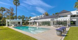 Contemporary Villa for Sale in Guadalmina Baja