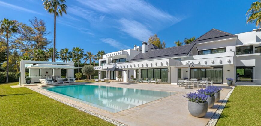 Contemporary Villa for Sale in Guadalmina Baja