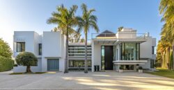 Contemporary Villa for Sale in Guadalmina Baja