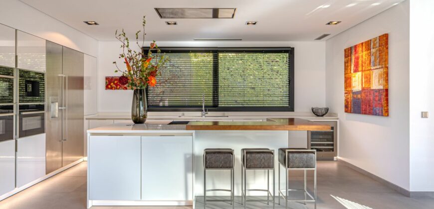 Contemporary Villa for Sale in Guadalmina Baja