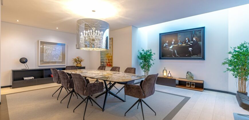 Contemporary Villa for Sale in Guadalmina Baja