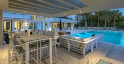 Contemporary Villa for Sale in Guadalmina Baja