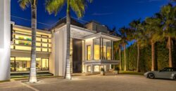 Contemporary Villa for Sale in Guadalmina Baja